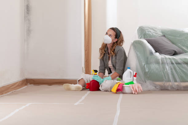 Reliable Mold Remediation contractor in Westwood, MA by Car Mold Remediation